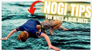 Mounted Triangle & Reverse Armbar from Side Turtle w Legs |  Nogi Commentary #128