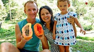 What Our Mostly Raw Vegan Family Eats In A Day + Healthy Tips