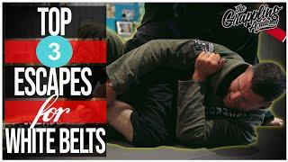 Top 3 ESCAPES For White Belts!!