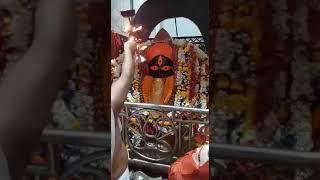 Our purohit in Kalighat Temple doing Mata's aarti straight from garva griha - PujaPariseva!