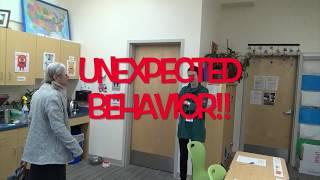 Expected vs. Unexpected Behavior