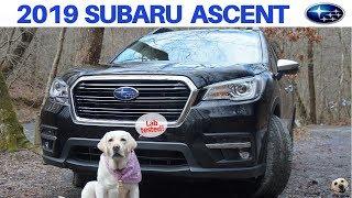 2019 Subaru Ascent: Andie the Lab Review!