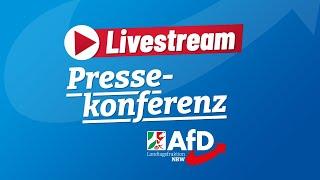 Beschreibung: Pressekonferenz: AfD-Initiativen im Plenum