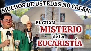 EL ERROR que COMETEMOS En La EUCARISTÍA APUESTO que NO lo SABÍAS Padre Luis Toro