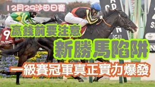 贏錢前要注意新勝馬陷阱，一級賽冠軍真正實力爆發，12月29沙田日賽