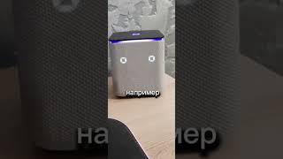 Искусственный Интеллект про Crypto Club ITERA