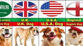 DOG BREEDS FROM DIFFERENT COUNTRIES…