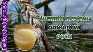 Отвар овса лечебные свойства онкология