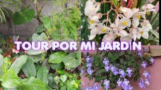 Tour por mi jardín | Parte 1| El jardín de Mary