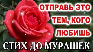 СТИХ ДО СЛЁЗ, ОЧЕНЬ ТРОГАТЕЛЬНО! ДОБРОЕ УТРО!  СТИХ ПРИТЧА О ДОБРОТЕ