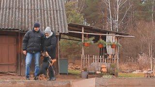 Family life in the Forest House. We insulate the roof, install a heating boiler