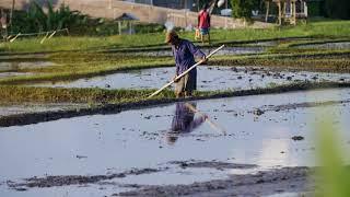 Farmers Working Stock Video | Free Stock Videos