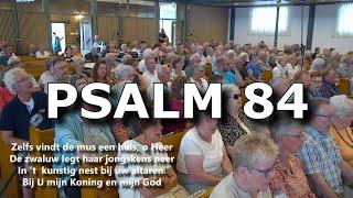 Samenzang Psalm 84 (Zingen in de Zomer 2024)