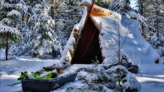 Winter Camping - A Night in a Wilderness Shelter!