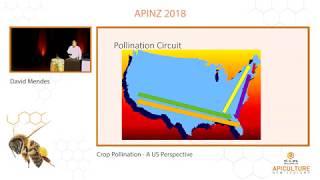 David Mendes - Crop Pollination