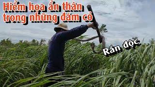 [SĂN BẮT RẮN] Xuất phát được một con, về cuối lại thêm con nữa | TGSB #932