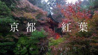 京都 紅葉と庭園 ：Kyoto Autumn Gardens