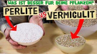 When do you use vermiculite and when do you use perlite? Differences, use and applications in the...