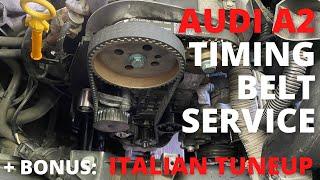 Audi A2 – timing belt, water pump, auxiliary belt with puley replacement – EP29 – project youngtimer