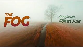 The Fog || FPV Cinematic Freestyle || Quadmula #Djinn F25