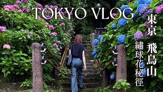 【東京王子 飛鳥山】繡球花秘徑｜米其林推薦 國王製麵｜東京灣 絕美煙火和夜景｜Tokyo vlog｜日本旅行與生活