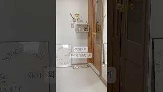5만원으로 화사한 현관 만들기 #셀프인테리어 #현관인테리어 #현관중문