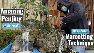 Amazing Penjing with Waterfall plus Bonsai Marcotting Technique | Bonsai DIY