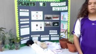 2014 CurrClick Science Fair Purple/13-up-Anna Wood