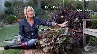 Container Garden Design Tip | Southern Living Plant Collection X Linda Vater