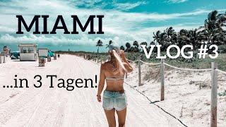 Miami Sehenswürdigkeiten & Highlights  | VLOG #3