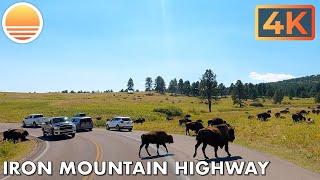  [4K60] Iron Mountain Road, South Dakota!  Drive with me on US 16A.