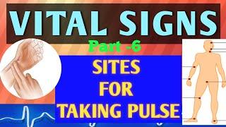 Sites For Checking Heart Rate |How Nursing Student Check Pulse   JEE NEET 2020  AIIMS Delhi NCLEX