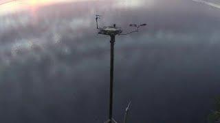 (ROUGH!) 10 April - First hours of the day Osprey activity ~ Brenig©DwrCymruWelshWater, RSPB