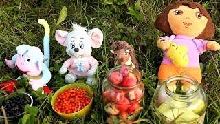 Ищем КЛАД! Учим Фрукты Овощи Ягоды развивающий мультик с игрушками для детей Даша Путешественница