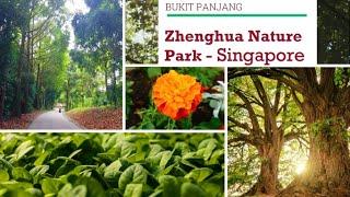 Singapore Nature walk| Zhenghua Nature Park|Singapore Community Garden|Bukit Panjang Tour| Singapore