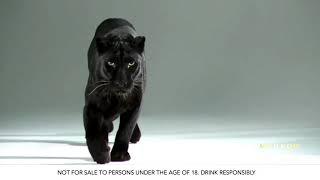 Makro - Meukow Cognac Panther