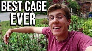 A Tomato Cage That Won't Make You Rage!