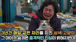 3년간 주인을 기다린 고양이, 그 놀라운 결말에 모두가 울었다
