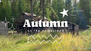 Autumn Homestead Prep: 8 Essential Tasks for a Cozy and Productive Season!