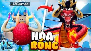 Mình Hóa RỒNG THẦN MỚI?? Sức Mạnh DRAGON của KAIDO Trong King Legacy | Roblox