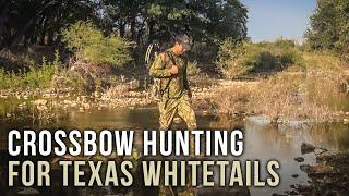 Hunting Texas Whitetail with Crossbows