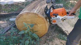 Chainsaw (drujba) STIHL ms 462, taie buștean cu lamă de 90 cm.