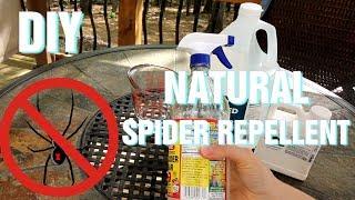DIY  Natural Spider Repellent