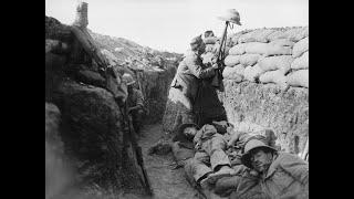 From Gallipoli to the Western Front: Sharing Military Knowledge & Experience in 1915 | Dr Aimée Fox