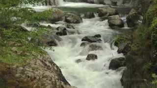 National video catalogue THIS IS BULGARIA - Water from the Spring of the Time