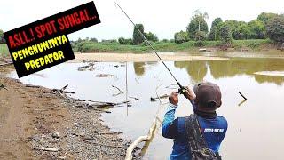 NEKAT..! MENELUSURI SPOT PEDALAMAN RIAU SAMPAI JUMPA TITIK SARANG PREDATOR || SPOT PERAWAN SUNGAI...