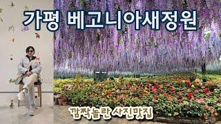 가평에서 깜짝놀란 사진맛집 / 가평베고니아새정원 / 아쿠아가든카페 가평점 / 겨울 나들이 가볼만 한 곳 / 가평 핫플 / 서울근교