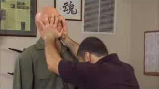 Self Defense Training System (SDTS) Module 2 - Advanced Strikes, The Self Defense Company