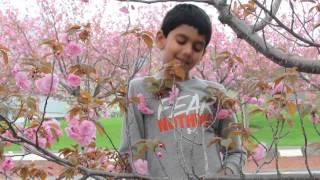 Spring 2014 song by Rishab