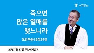 죽으면 많은 열매를 맺느니라(황명환 목사)요12:24